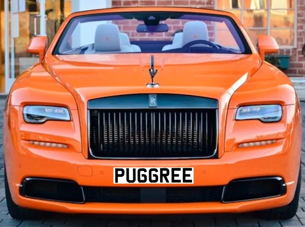 RR.PU66REE